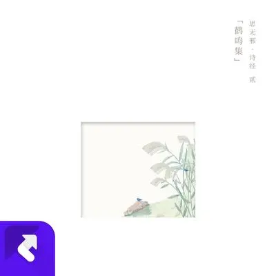 鸿雁封面