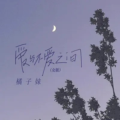 爱与不爱之间 (女版)封面