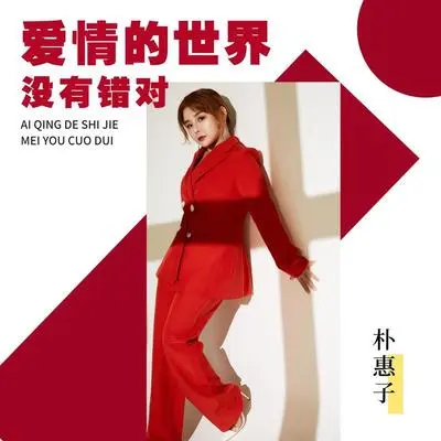 爱情的世界没有错对封面