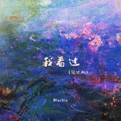 我看过(说唱版)封面