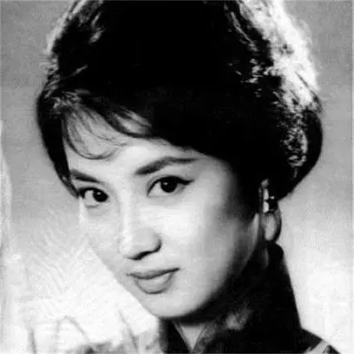 回来吧爱人封面