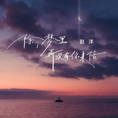 除了梦里再没有你来陪封面