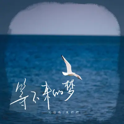 等不来的梦封面