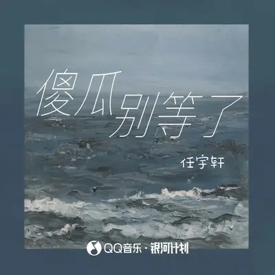 傻瓜别等了 (伴奏)封面