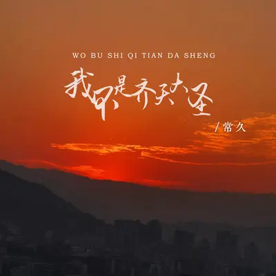 我不是齐天大圣(DJ版伴奏)封面