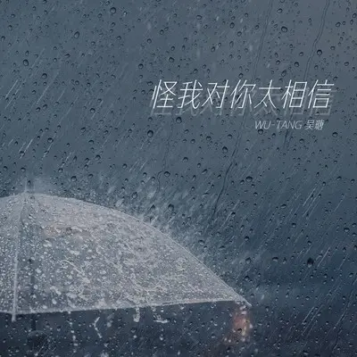 怪我对你太相信封面
