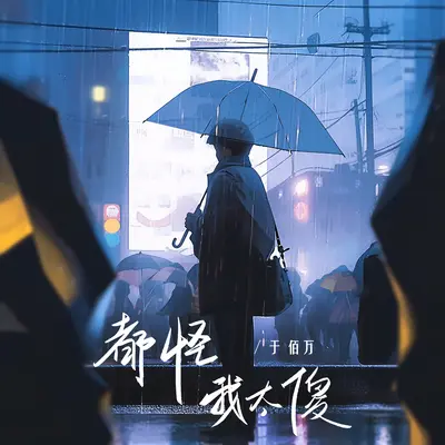 都怪我太傻封面
