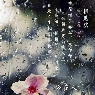 怜花人 - 狂潮封面