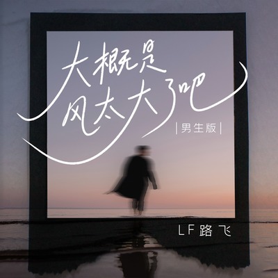 大概是风太大了吧(DJ德朋版)(DJ德朋版)封面
