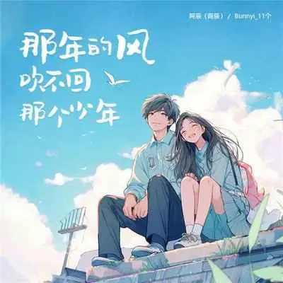 那年的风吹不回那个少年封面
