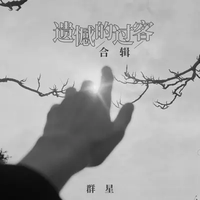 遗憾的过客(经典版)(经典版) - 王超然封面