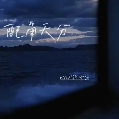 配角天分 (伴奏) - WAV / 张浩杰封面