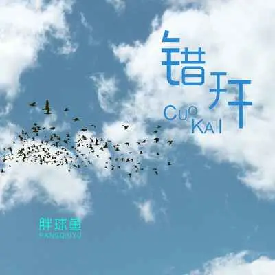 错开(0.8X)封面
