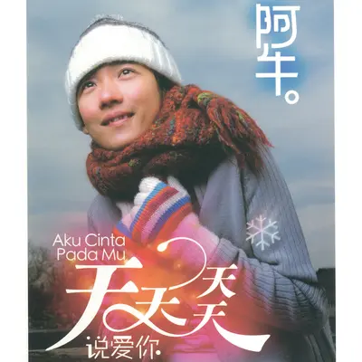 再见有期封面