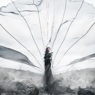 明明爱你(电视剧我的自由年代片尾曲)封面