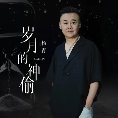岁月的神偷封面