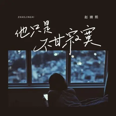 他只是不甘寂寞封面