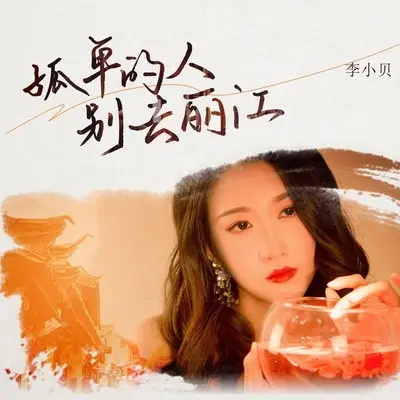 孤单的人别去丽江封面
