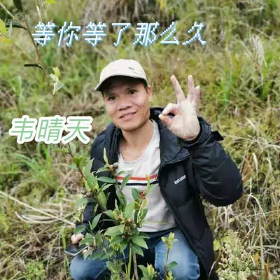 等你等了那么久封面