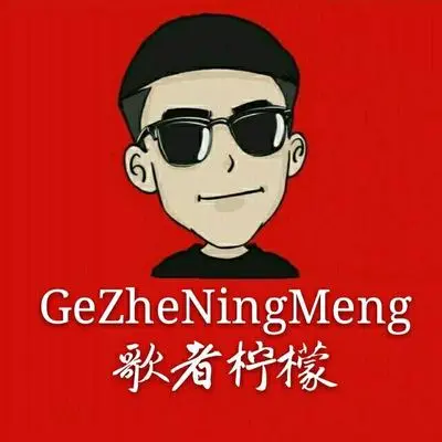 你这偷心的贼封面