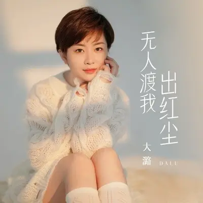 无人渡我出红尘(DJ默涵版)封面