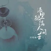 酒里酿满人间苦(DJ九零版)