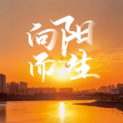 向阳而生封面