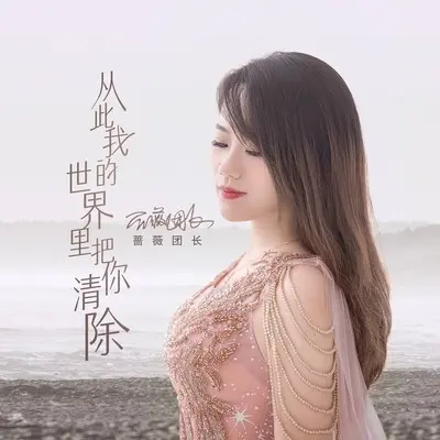 从此我的世界里把你清除封面