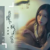 我曾像个疯子一样爱你(DJ九零版)