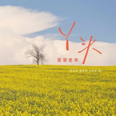 丫头封面