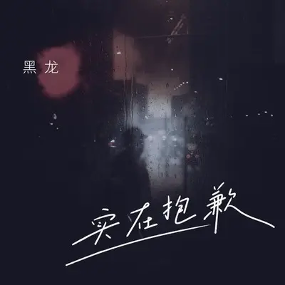 实在抱歉(DJ阿卓版)封面