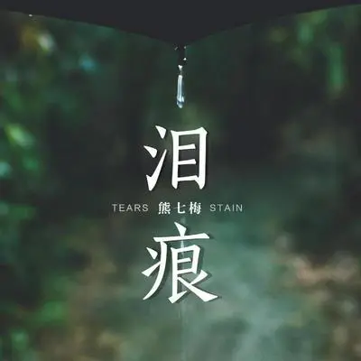 泪痕 (DJ默涵版)封面