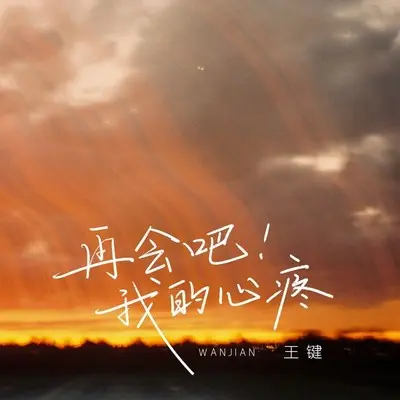 再会吧！我的心疼封面