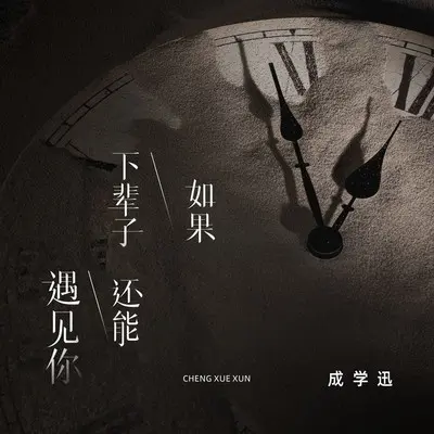 如果下辈子还能遇见你封面