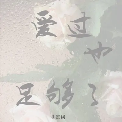 爱过也足够了封面