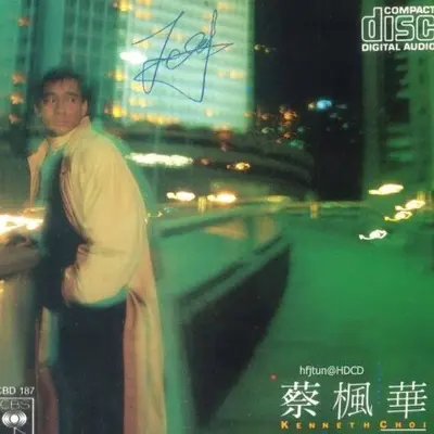 远飞的你封面