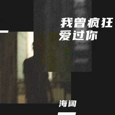 我曾疯狂爱过你 - 海阔封面