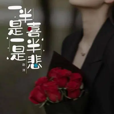 一半是喜一半是悲(DJ默涵版)封面