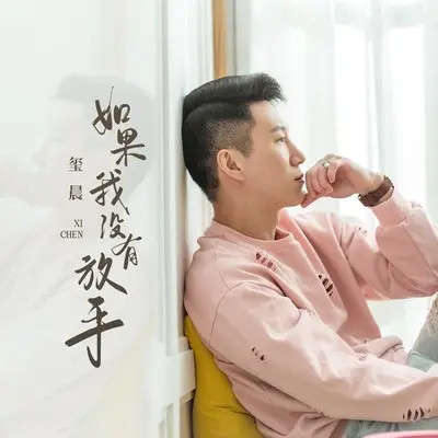 如果我没有放手封面