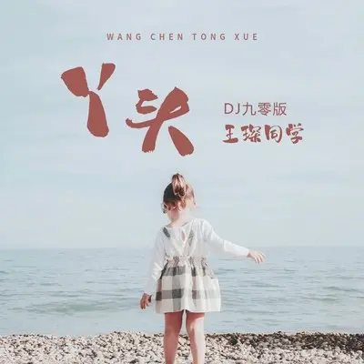 丫头 (DJ九零版)封面