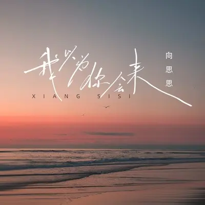 我以为你会来(Live版) - 向思思封面