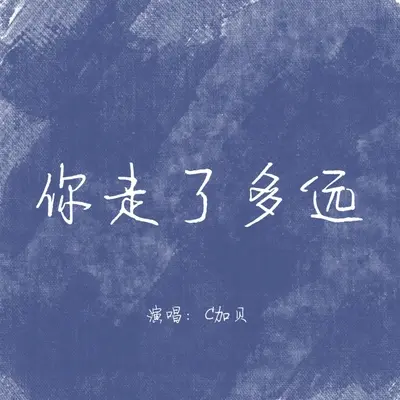 你走了多远封面