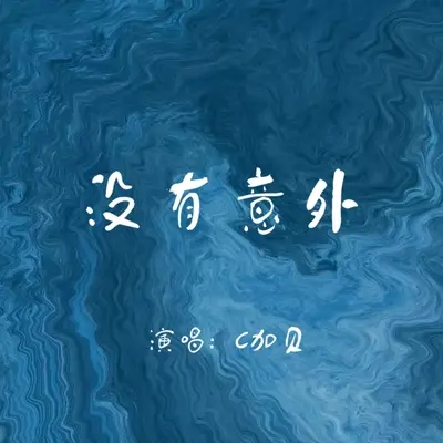 没有意外封面