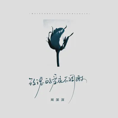 玫瑰的爱永不凋谢(伴奏)封面