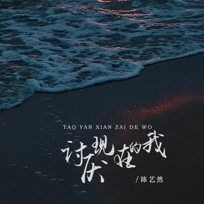 讨厌现在的我封面