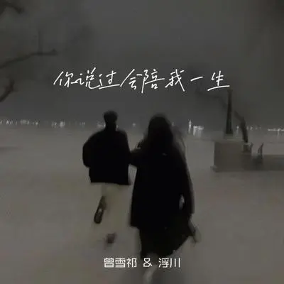 你说过会陪我一生(伴奏) - 曾雪祁 / 浮川封面