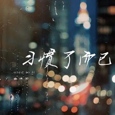 习惯了而已封面