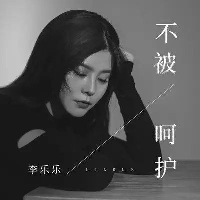 不被呵护(DJ版) - 李乐乐封面