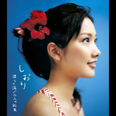 二人の約束(オリジナル・カラオケ)封面