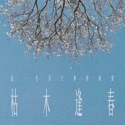 这一生关于你的风景(伴奏)封面